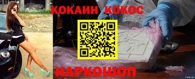стафф Гатчина