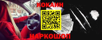 стафф Гатчина
