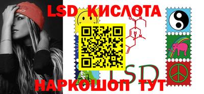 стафф Гатчина