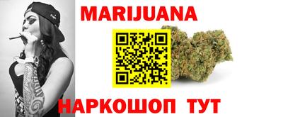 стафф Гатчина